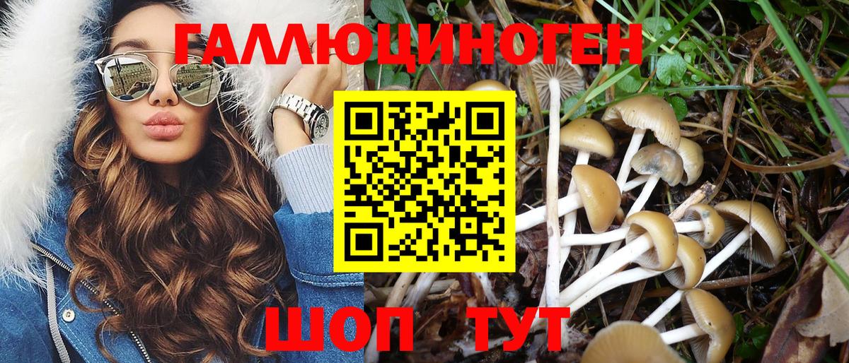 Ярцево  Псилоцибиновые грибы Cubensis  Вход с VPN 