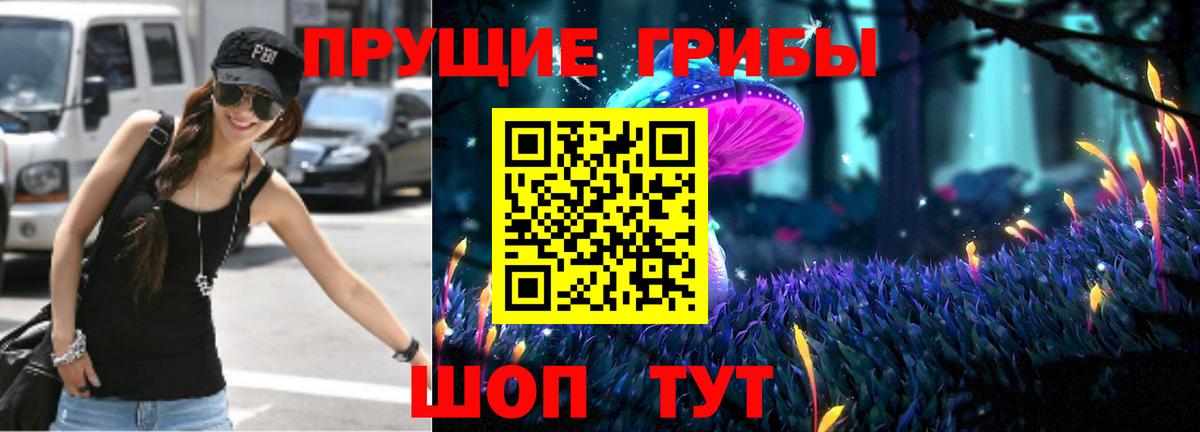 Галлюциногенные грибы Psilocybine cubensis Ярцево
